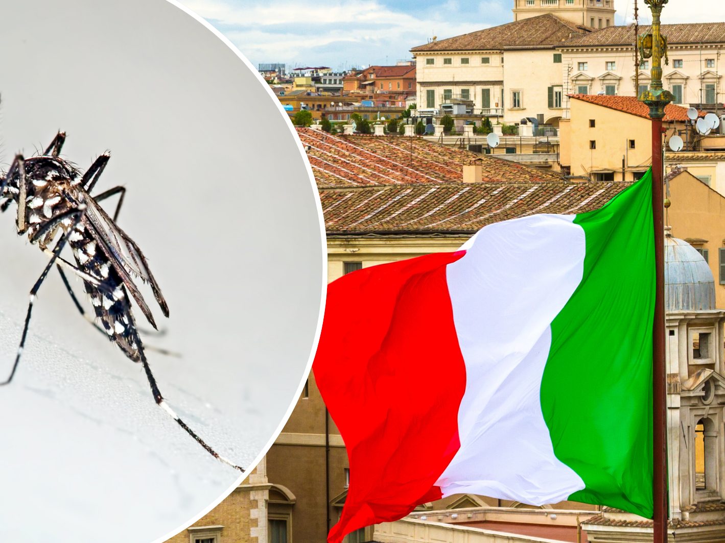 Virus-Alarm in Verona: Chikungunya legt Volksfest lahm