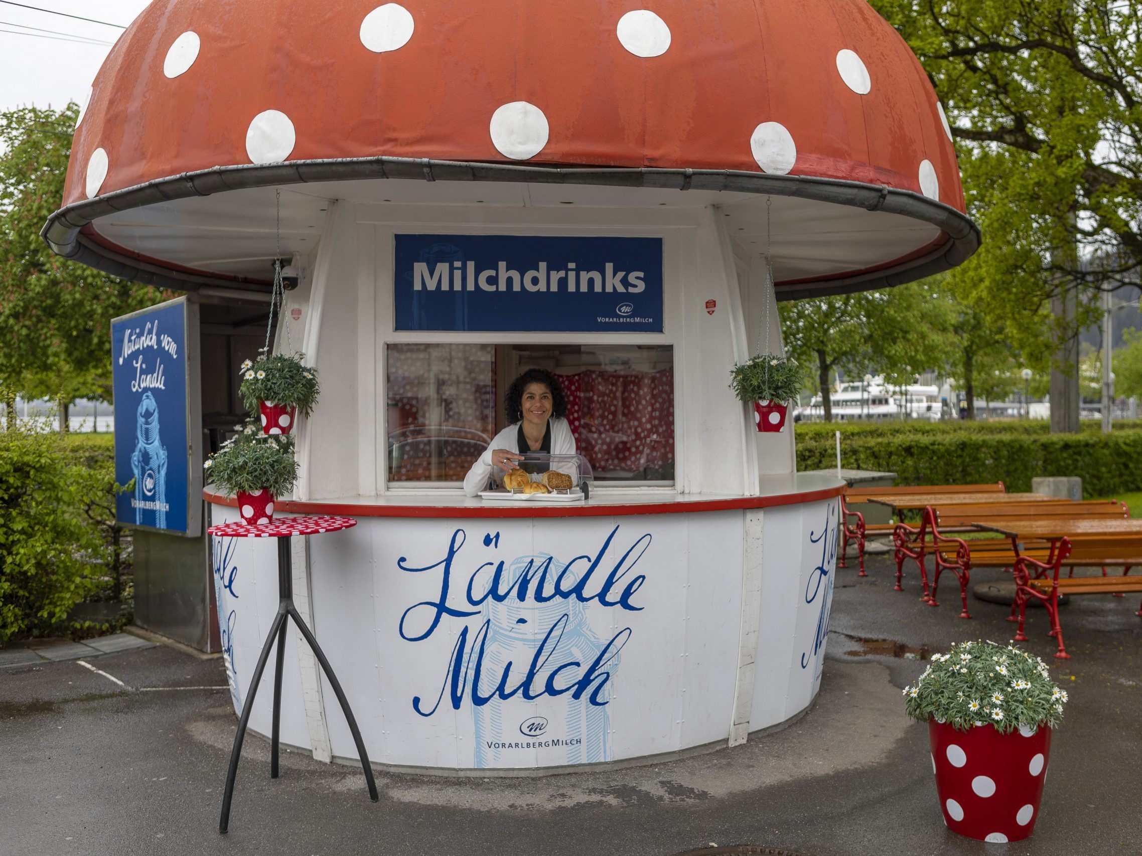 Wie geht es nun für den Milchpilz weiter?