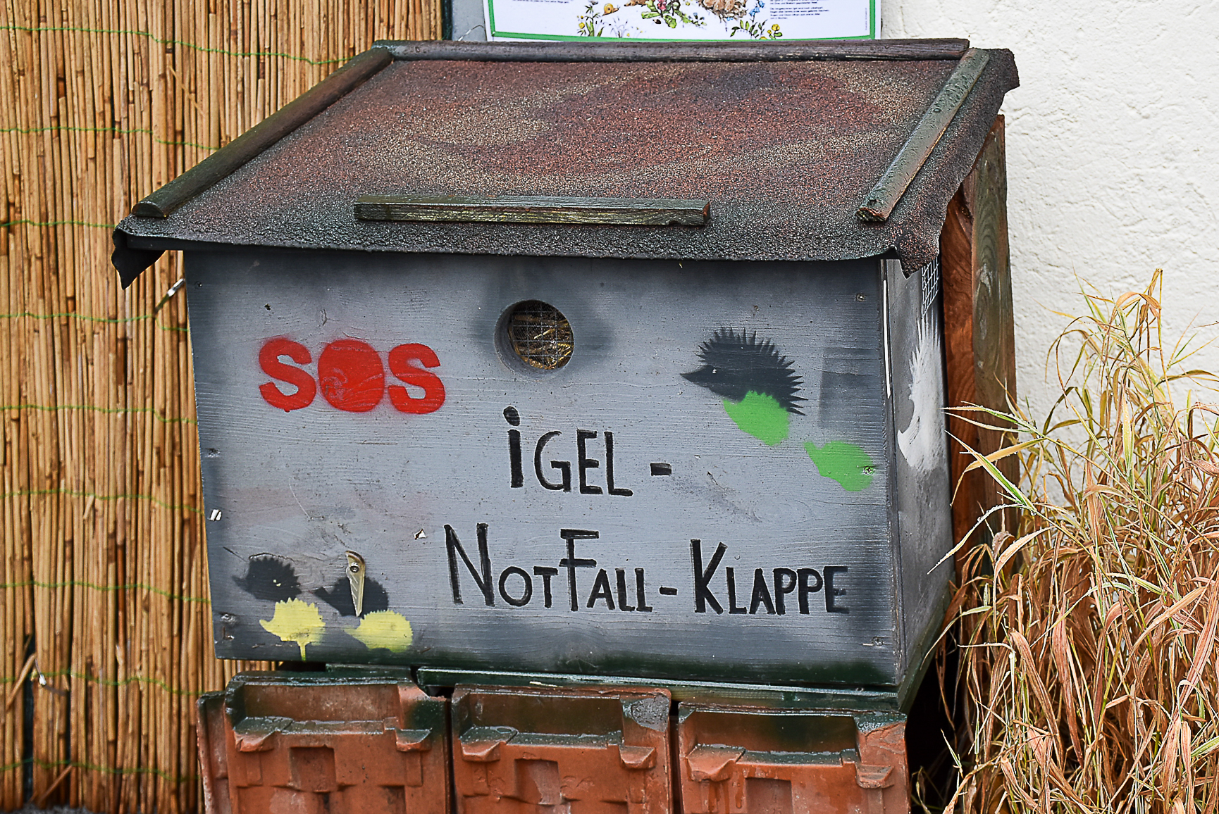 In der Igelklappe können verletzte oder verwaiste Igel rund um die Uhr sicher abgegeben werden.