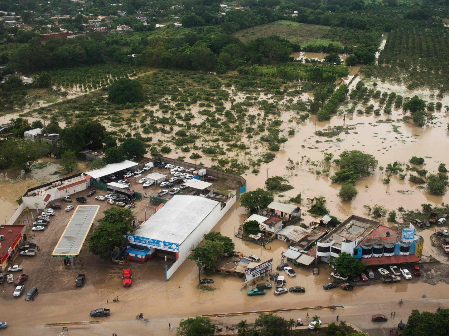 Nach den verheerenden Regenfällen in Mexiko steigt die Zahl der Toten ebenso wie die Verzweiflung der Überlebenden.