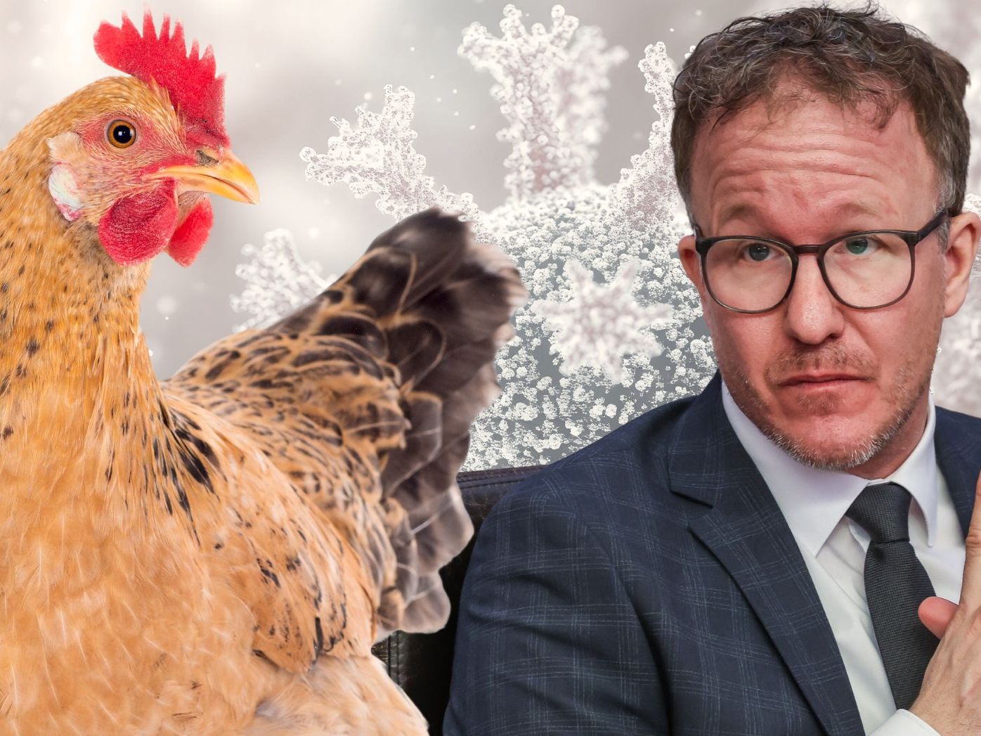 Vogelgrippe rückt näher: Vorarlberg zieht Schutzmaßnahmen hoch.