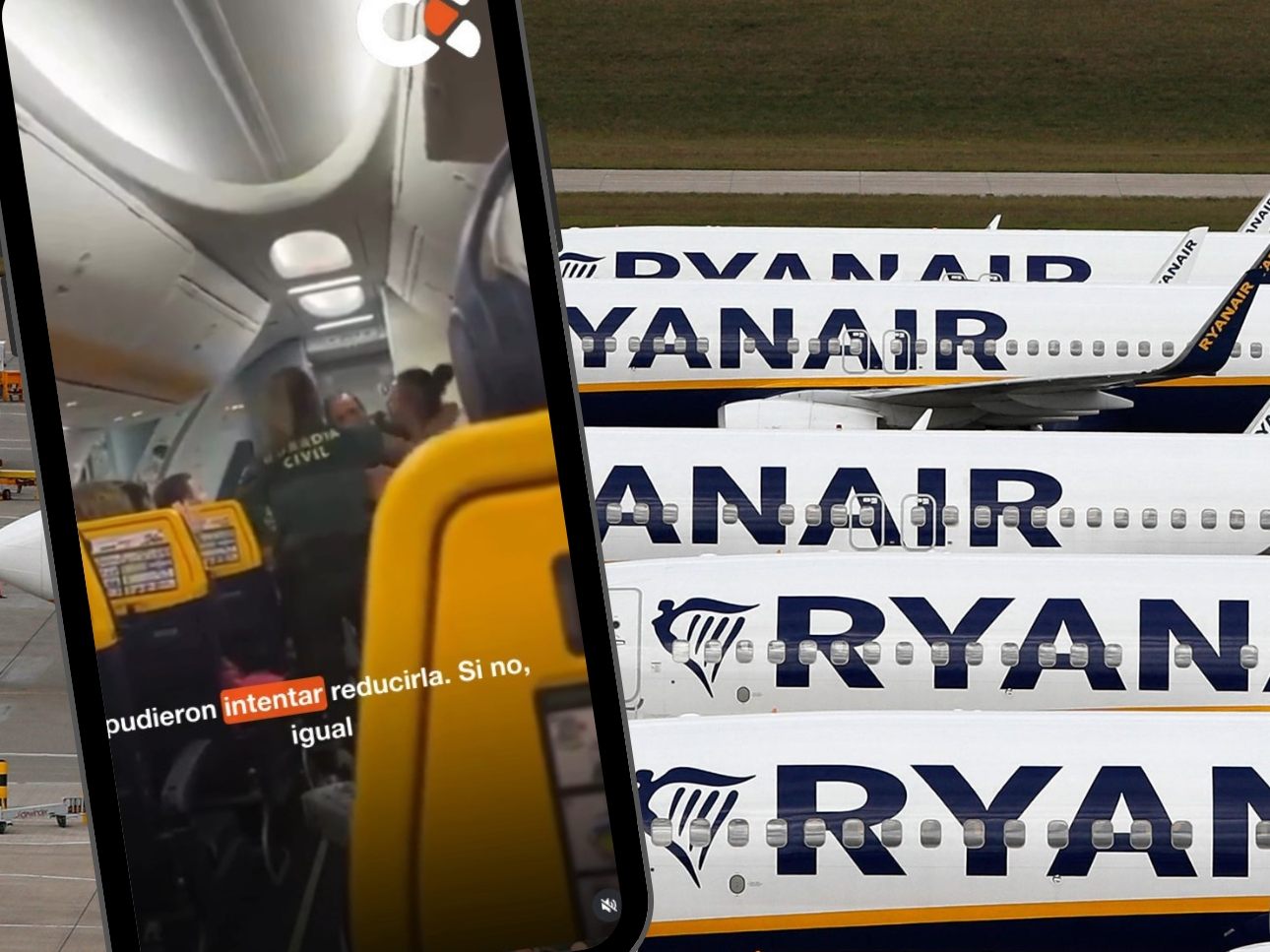 MMA-Star Sinead Kavanagh verprügelt Polizisten an Bord von Ryanair-Flug.