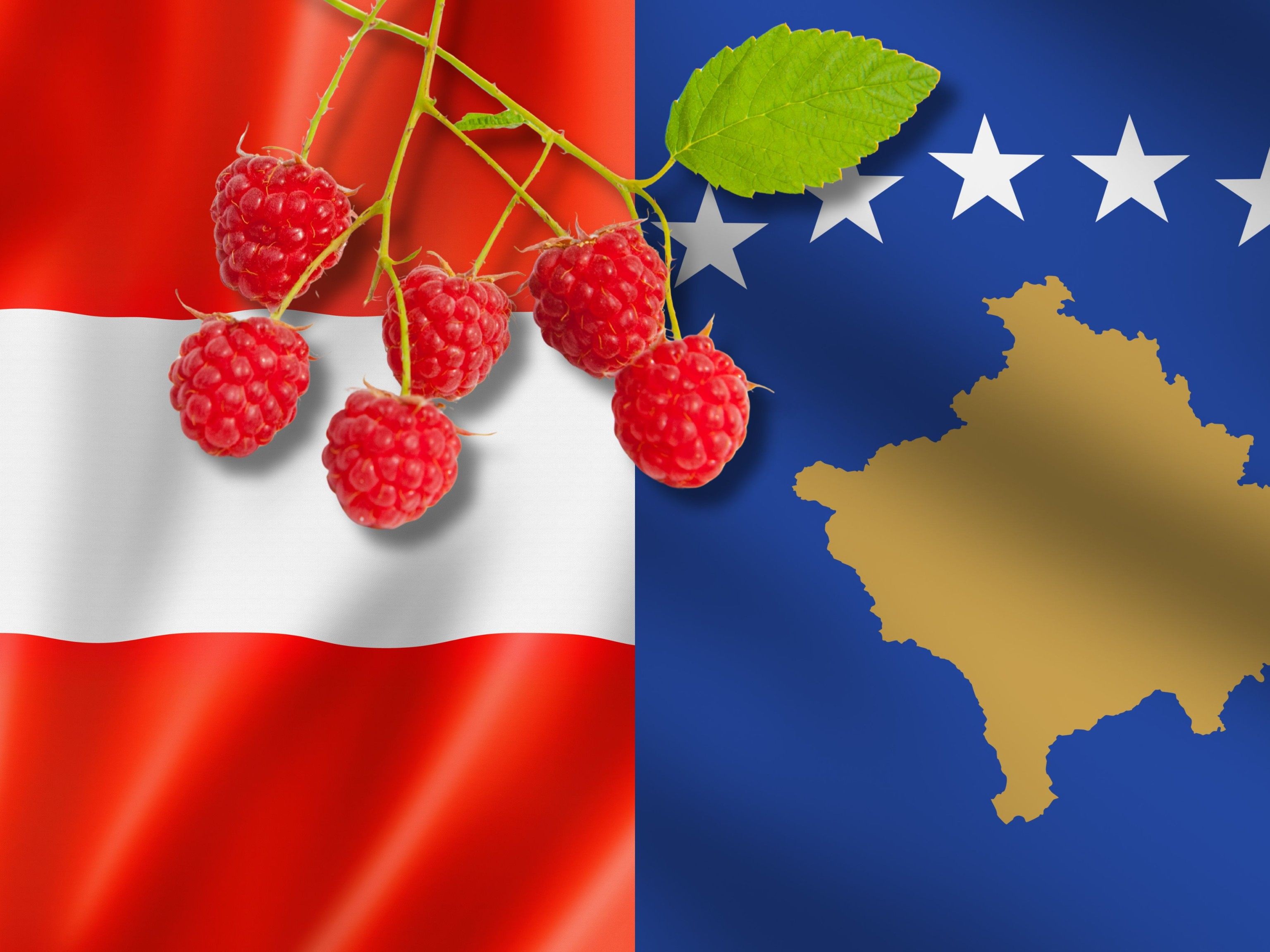 Himbeeren statt Auswanderung im Kosovo