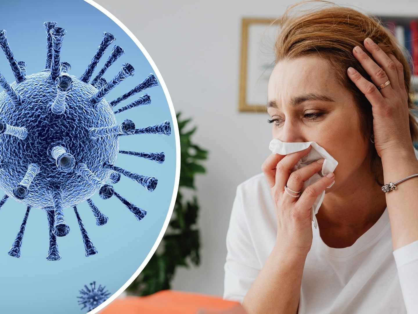 Europaweite Warnung: Mutierte Grippeform H3N2 breitet sich aus