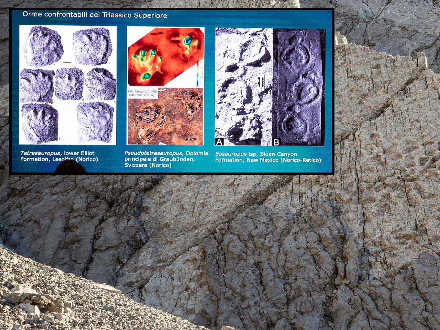 In Norditalien haben Forscher tausende Dinosaurierspuren auf einer Felswand entdeckt. Der Fund gilt als einer der größten in den Alpen – und weltweit.