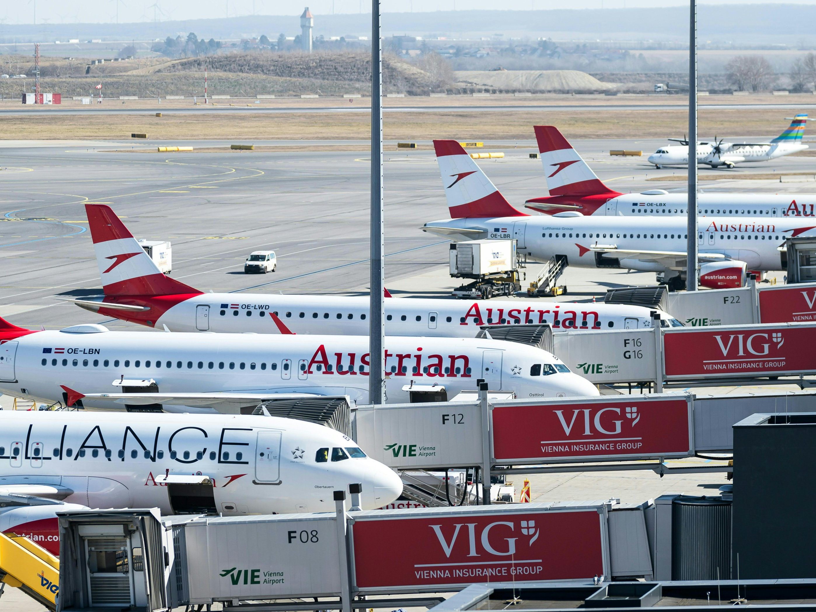Eisregen legt Flughafen Wien lahm – Flugbetrieb vorübergehend gestoppt.