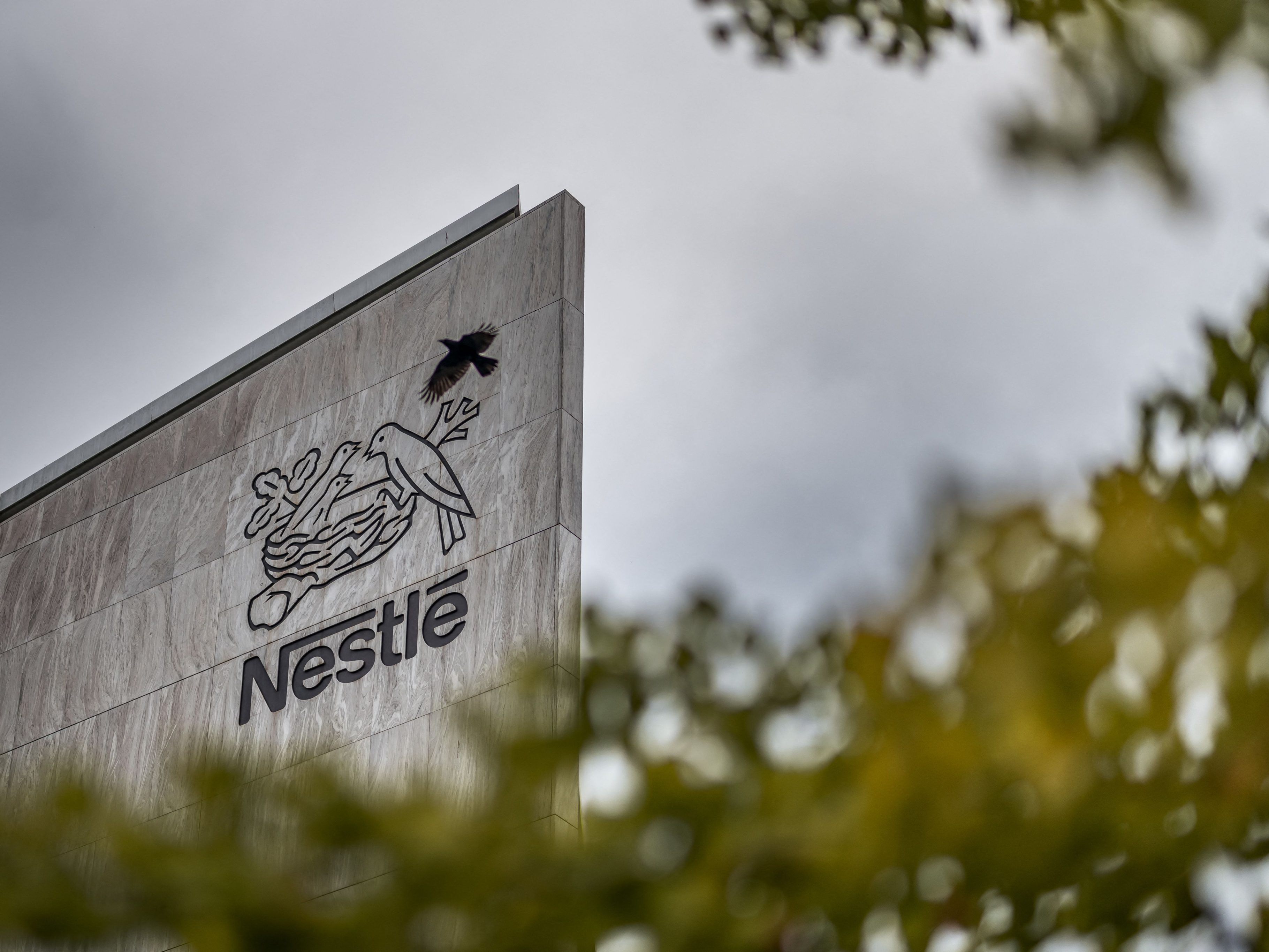 Rückruf: Klage gegen Nestlé & Co