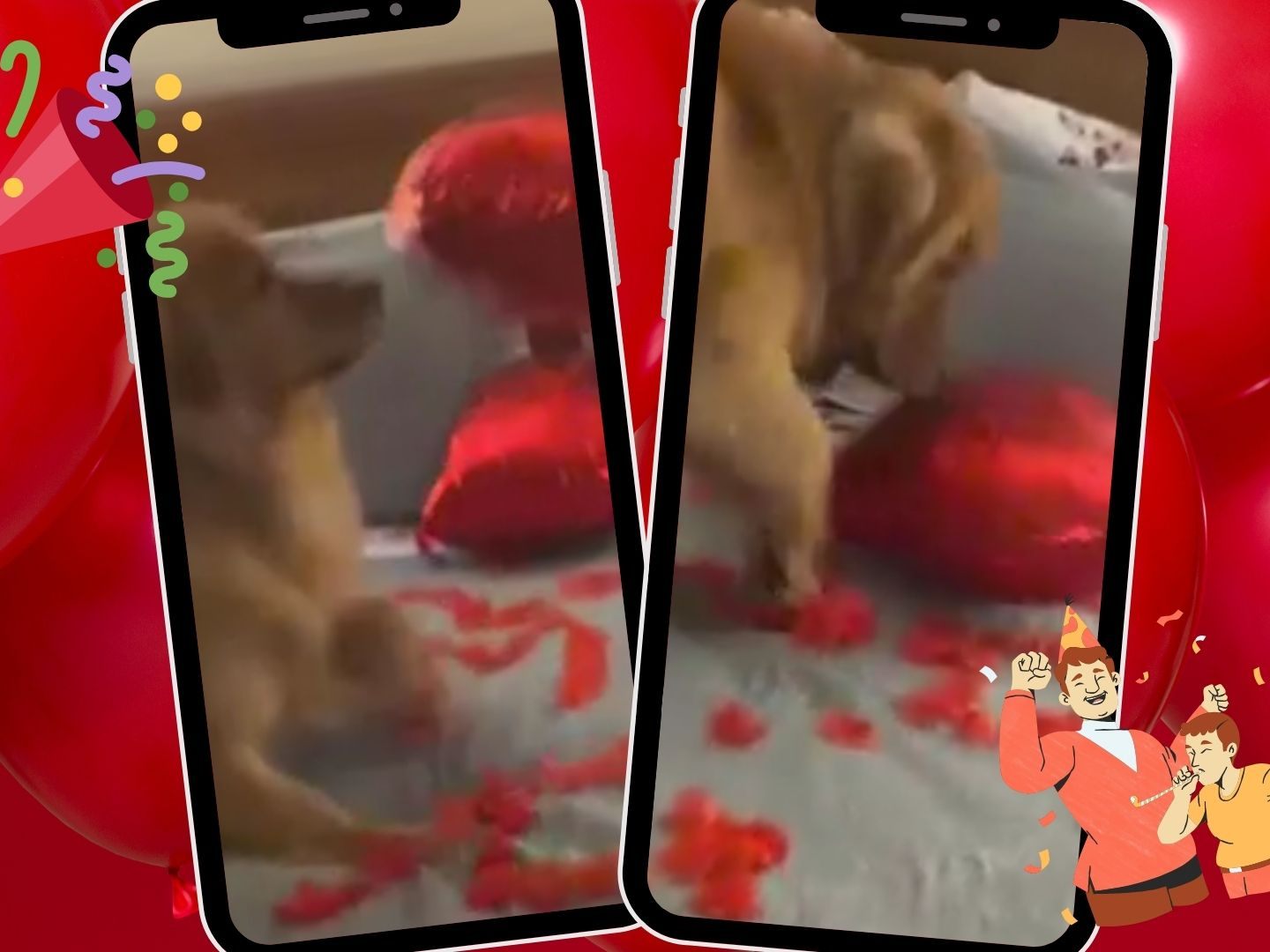 Wenn Romantik auf Hundespiel trifft: Geburtstag mit Hindernissen