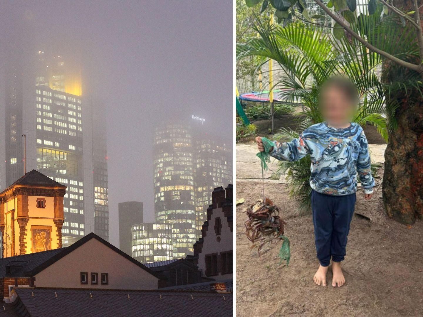 Noah (8) aus Frankfurt verschwunden: Polizei sucht dringend nach Zeugen