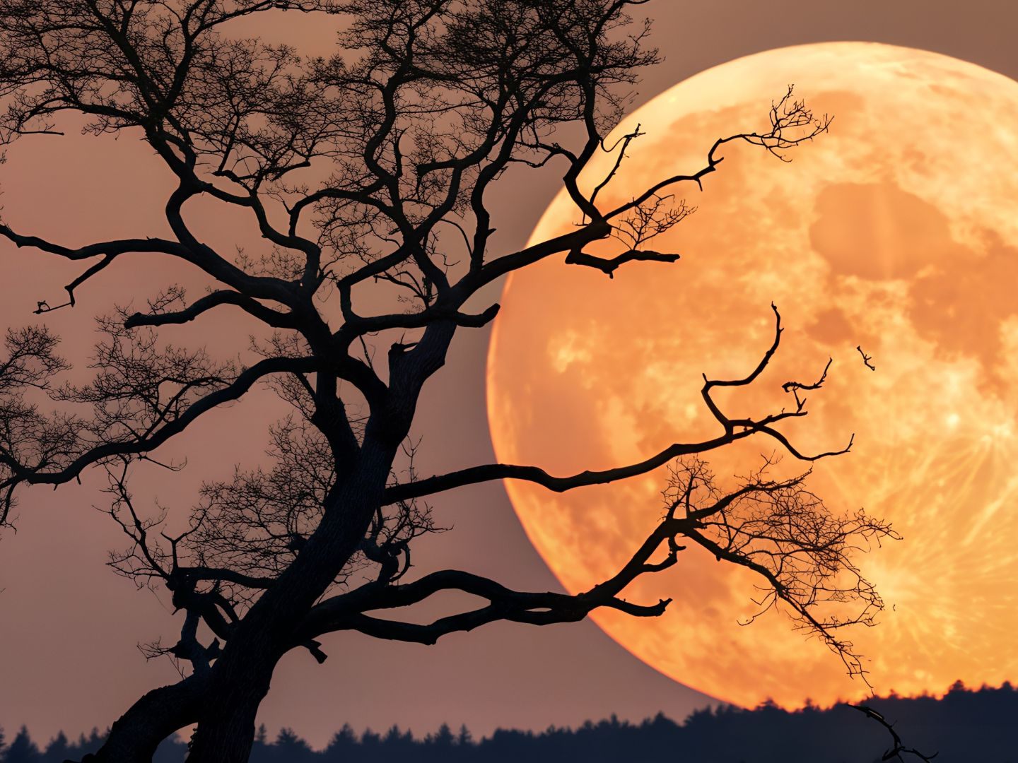 Wolfsmond trifft auf Quadrantiden – Das Himmelsereignis im Januar 2026