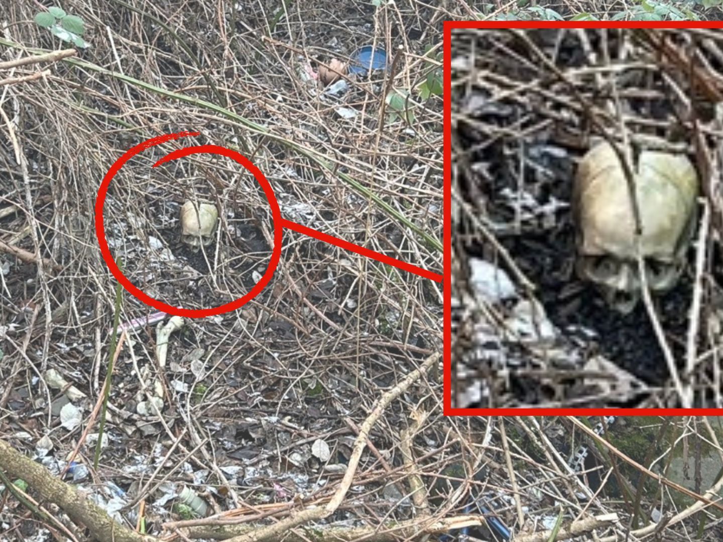Fundstelle der menschlichen Knochen.