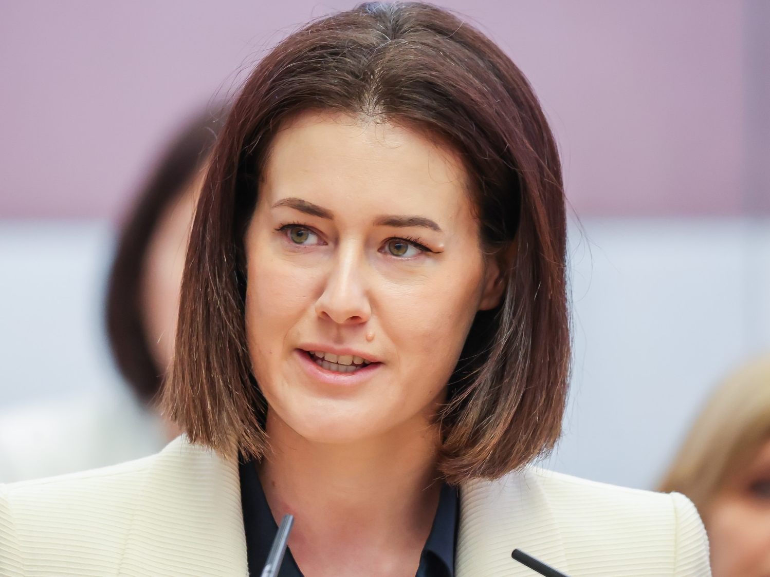 Neos erneuern Forderung nach Debatte über Gemeindefusionen.