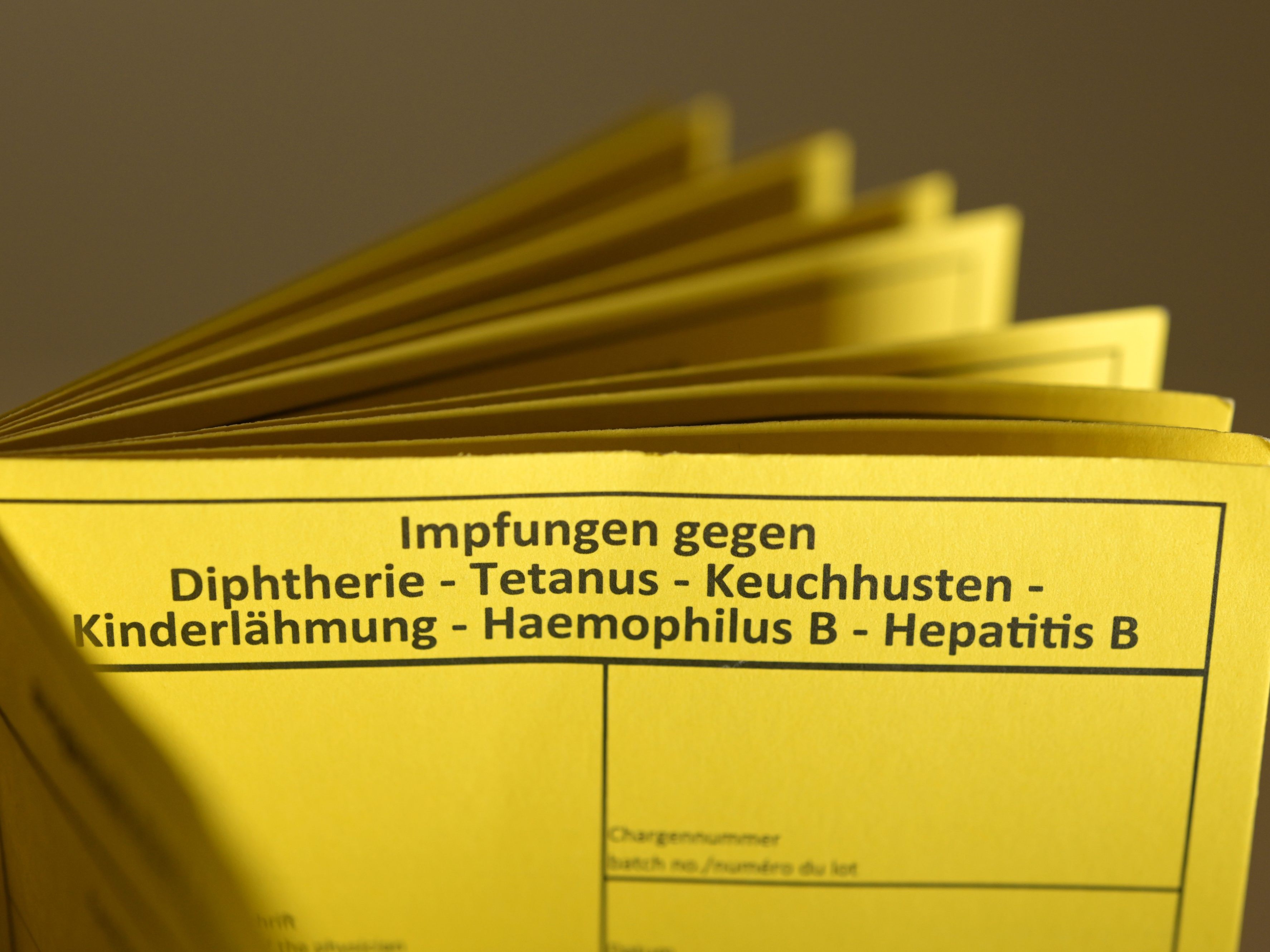 Ohne Schularzt? So hilft das Land Vorarlbergs Schulen
