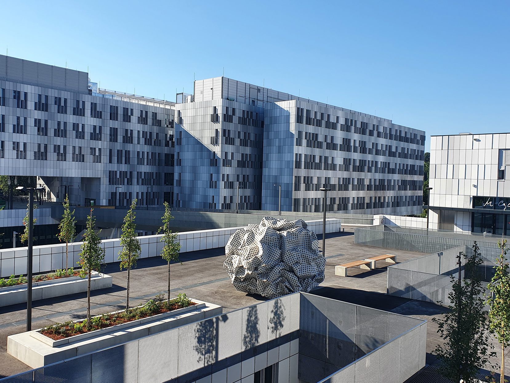 An der Med Uni Graz wurde ein Universitäres Zentrum für seltene Erkrankungen eröffnet.
