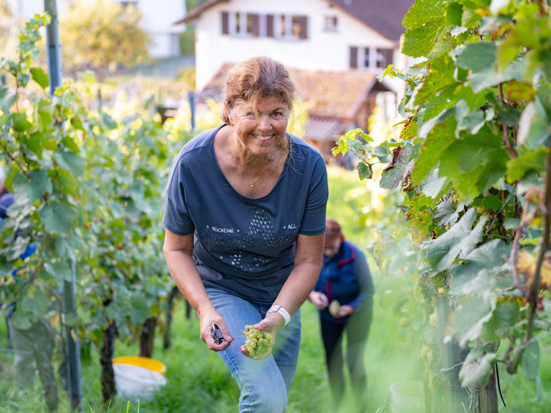 Kleine Region, großer Sprung bei der Weinlese.