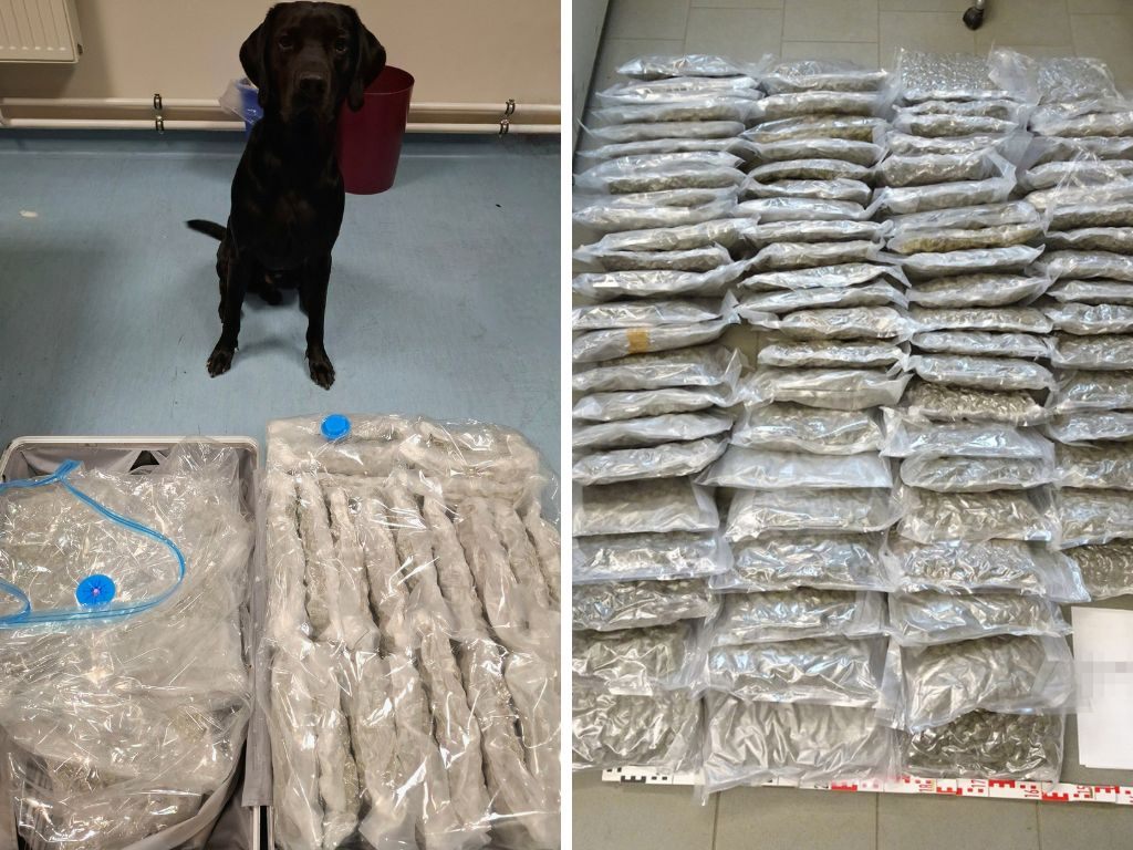 58 Kilo Cannabis am Flughafen Schwechat sichergestellt.