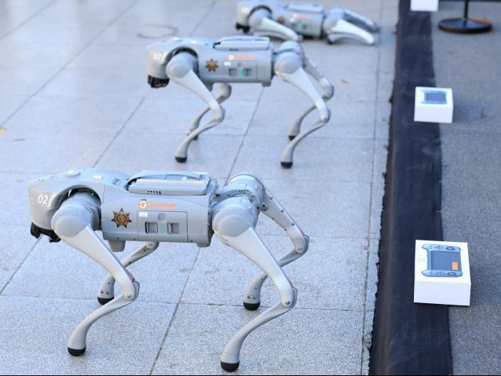 Roboter-Hunde unterstützen die mexikanische Polizei bei der Fußball-WM.