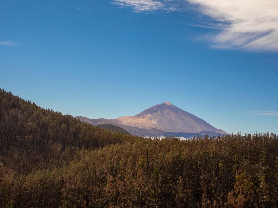 Der Vulkan Teide auf Teneriffa: Messstationen registrieren derzeit ungewöhnliche seismische Aktivität im Untergrund.