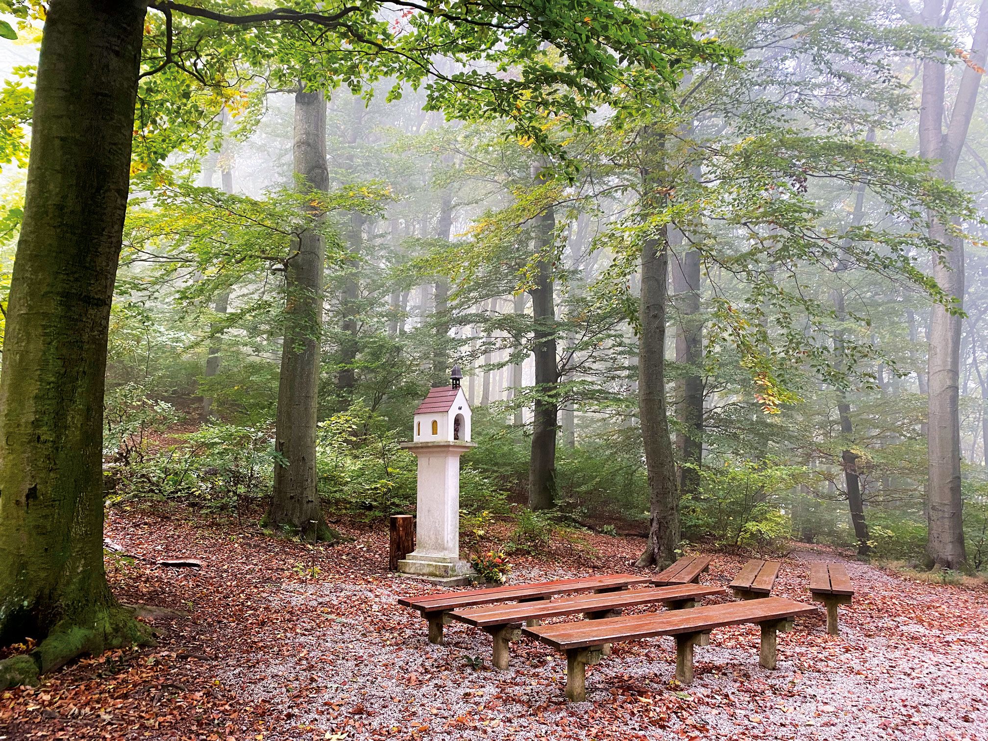 In Bludesch gibt es bereits einen Waldfriedhof.