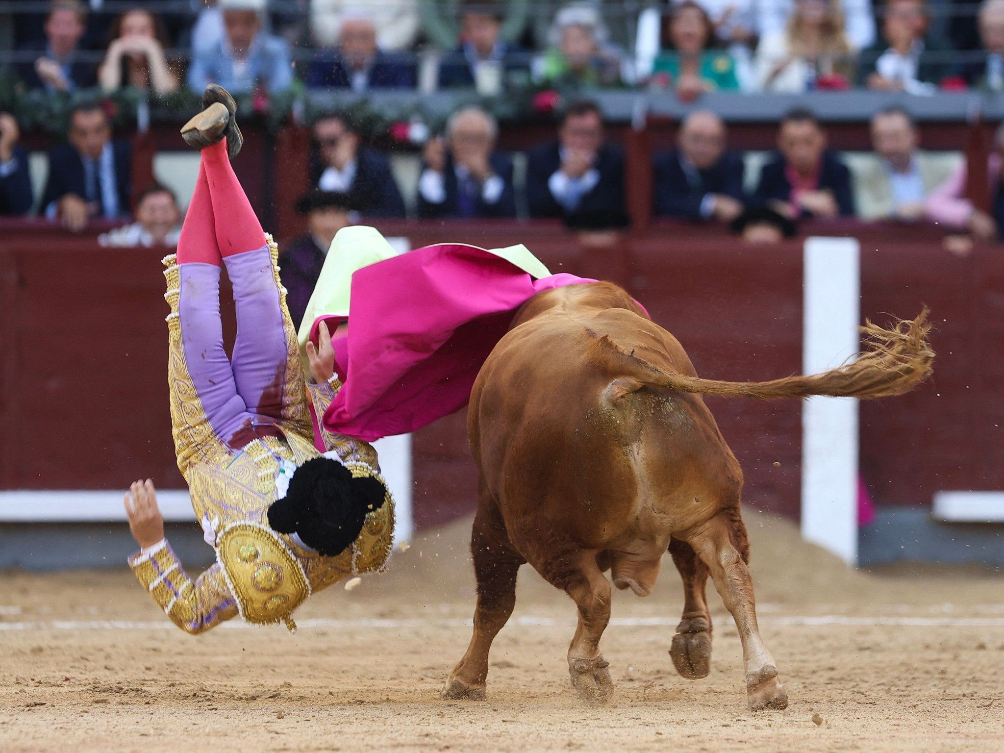 Star-Torero Morante de la Puebla wurde bei einem Stierkampf in Sevilla schwer verletzt.