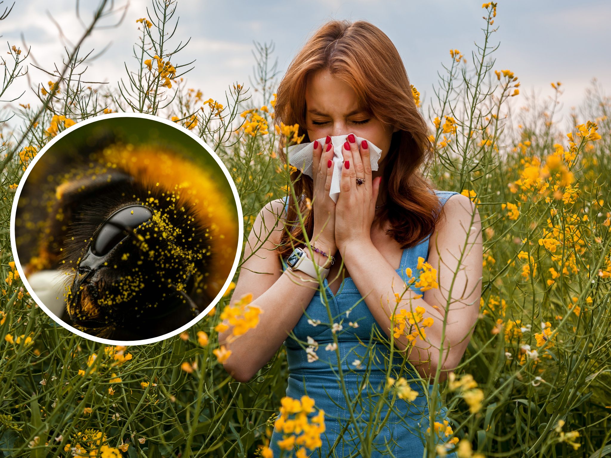 Pollenalarm im Frühling