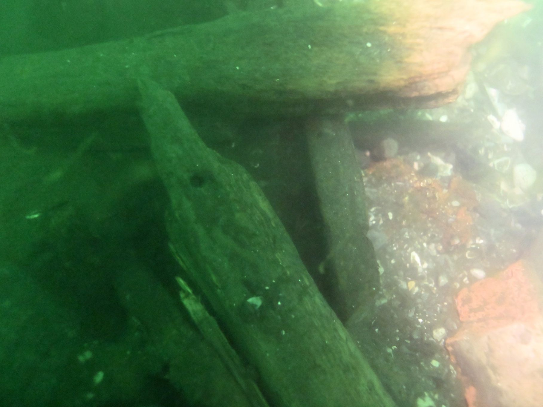 Taucher entdecken Wrack aus berühmter Seeschlacht.