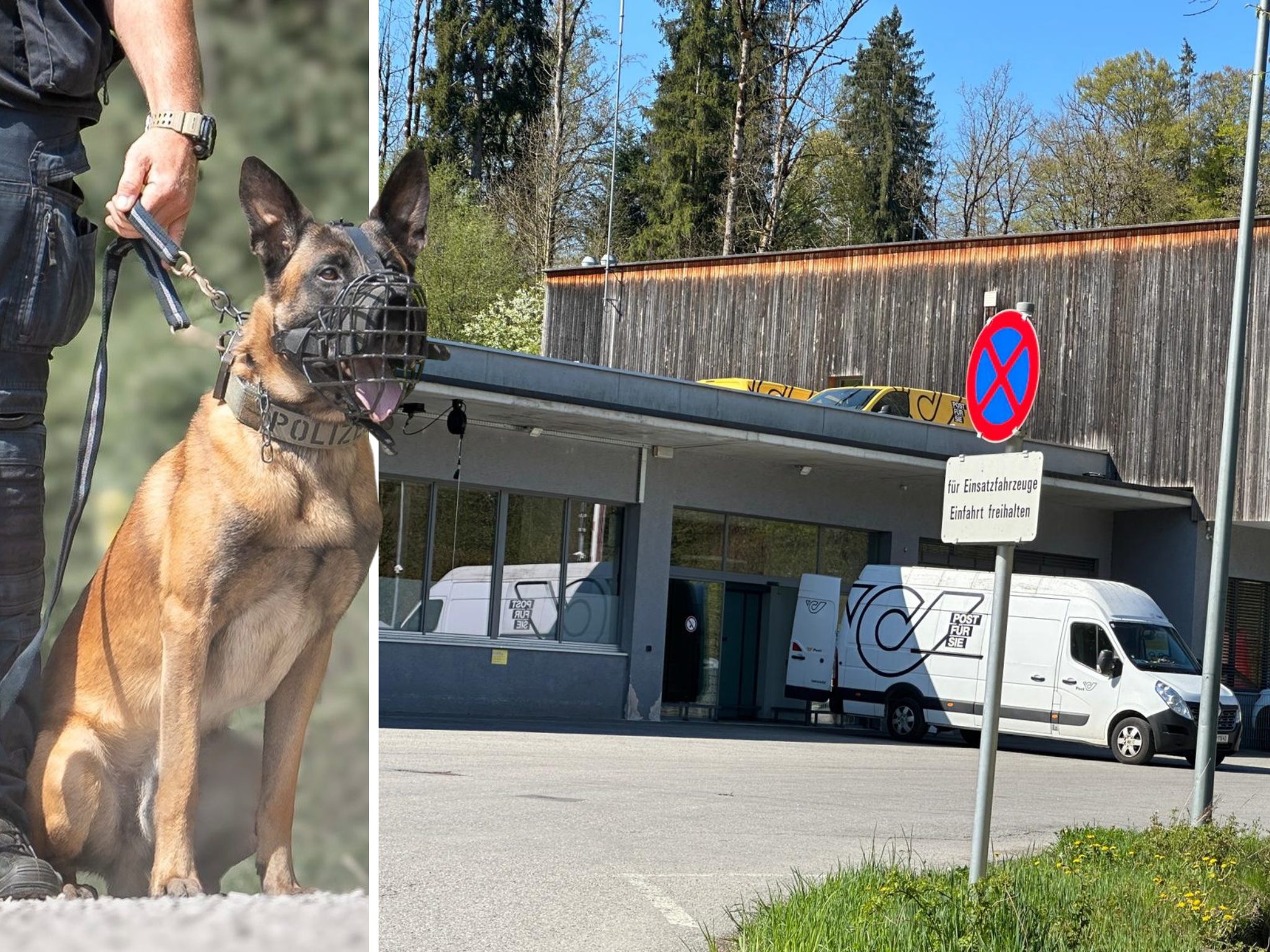 Einbruch in Postzentrum Egg: Polizeihund stellt 57-Jährige.