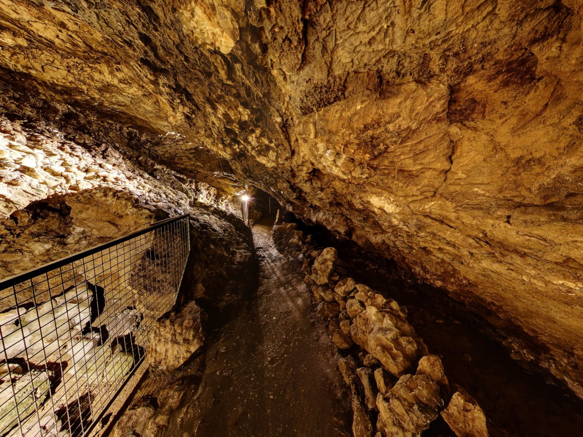Heute ist ein rund 128 Meter langer Abschnitt für Besucher zugänglich. Insgesamt erstreckt sich die erforschte Höhle auf etwa 665 Meter.