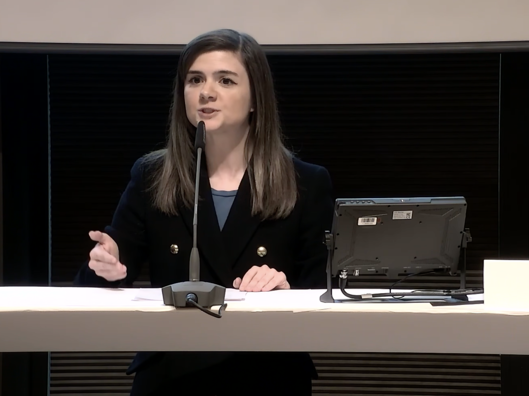 "Wir haben ganz klar ein Ausgaben- und kein Einnahmenproblem", betonte Fabienne Lackner (NEOS).