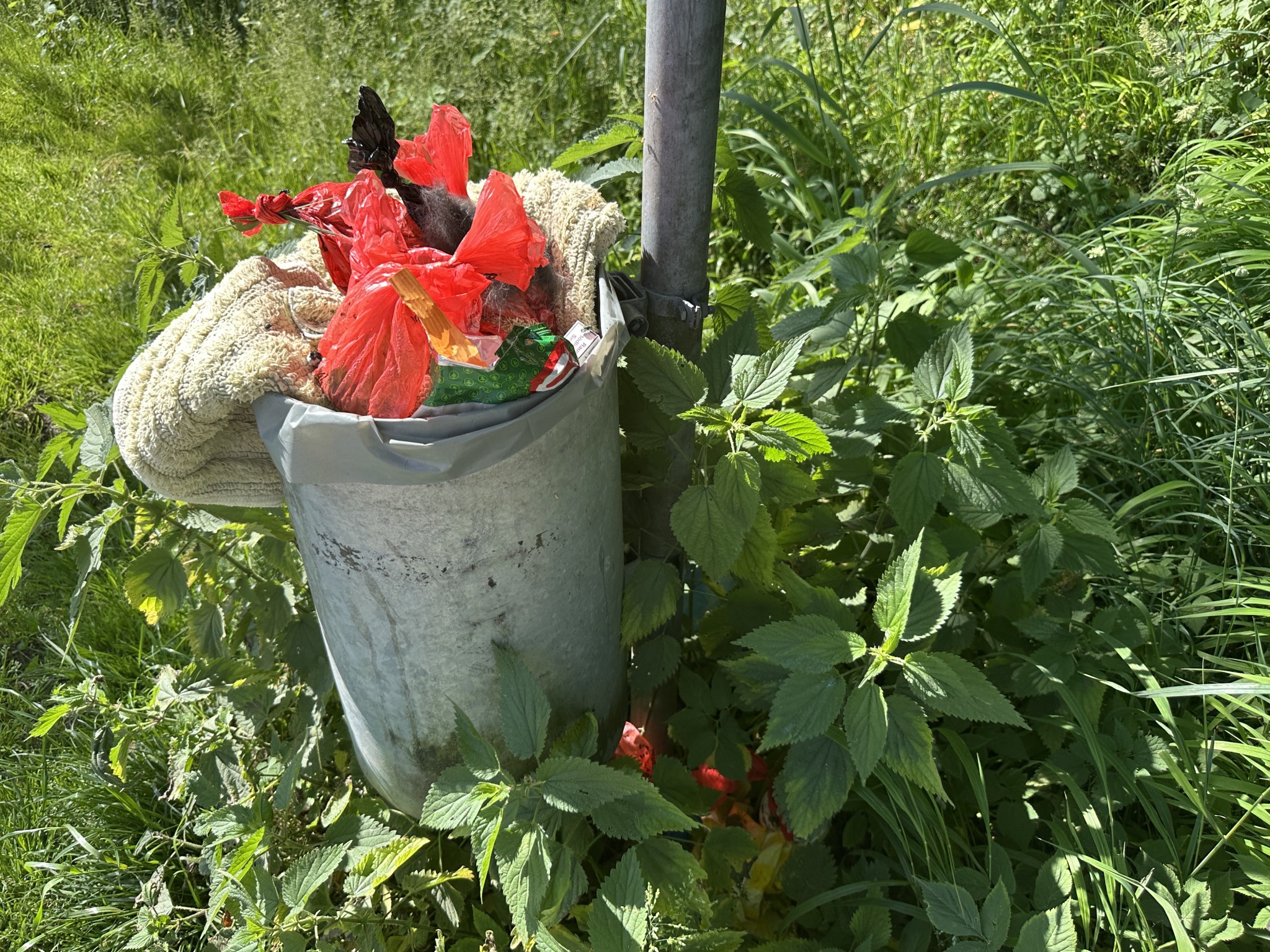 IMG_4068.JPG