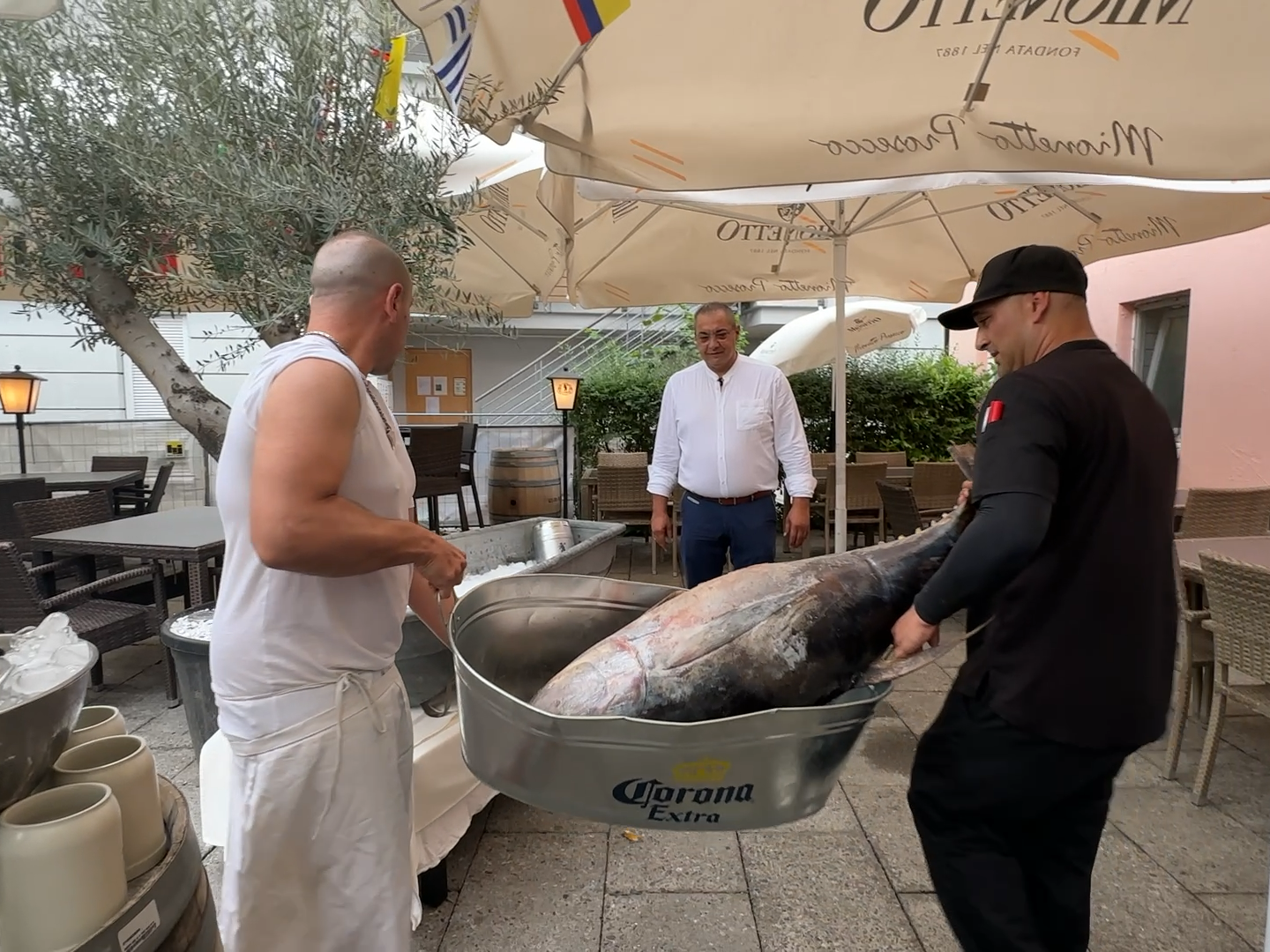 fisch.jpg